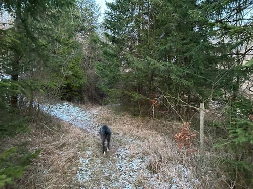 Hahnenkamm Erlebnispfad
