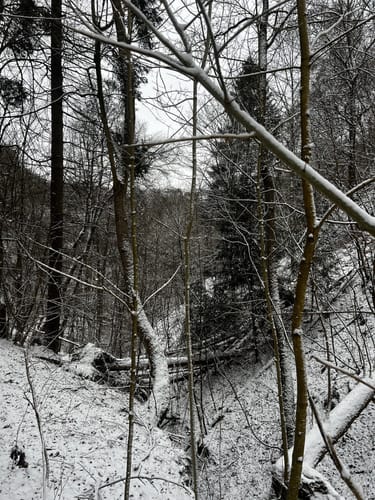 Winterberger Schluchten- und Brückenpfad