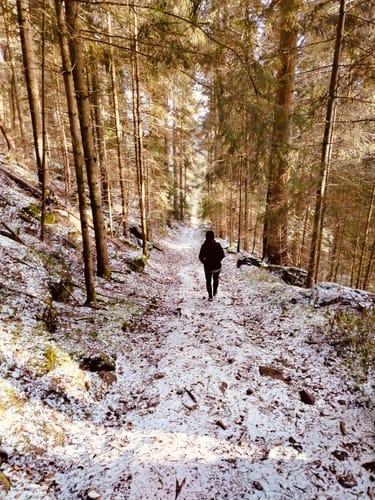 GeoTour Bad Teinach-Zavelstein