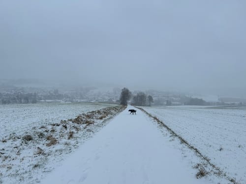 Rundwanderweg Heidenheim 7