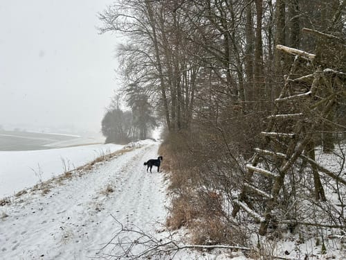 Rundwanderweg Heidenheim 7