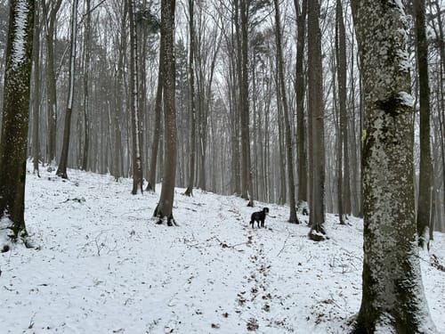 Rundwanderweg Heidenheim 7