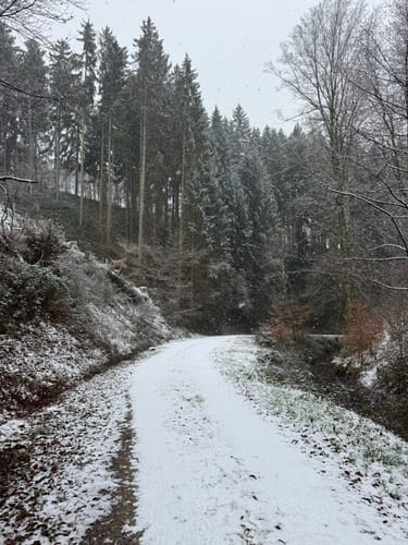 Wißmannsdorf (Naturpark Südeifel Wanderweg Nr. 22)