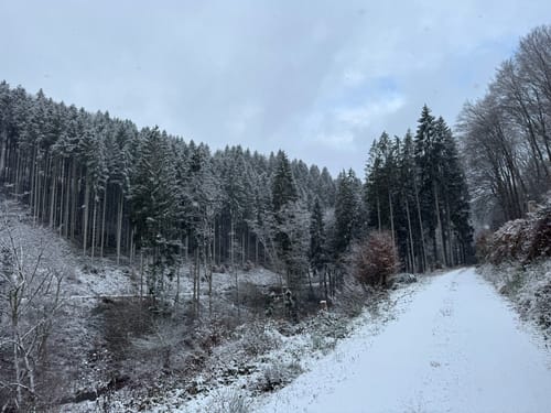 Wißmannsdorf (Naturpark Südeifel Wanderweg Nr. 22)