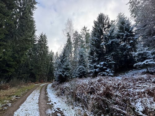 Wißmannsdorf (Naturpark Südeifel Wanderweg Nr. 22)