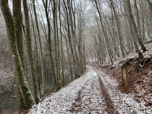 Wißmannsdorf (Naturpark Südeifel Wanderweg Nr. 22)