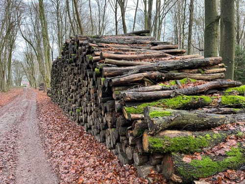 Grüne-Rummel-Wanderweg und Burg Rabenstein