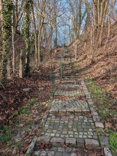 Zum Pimpinellenberg