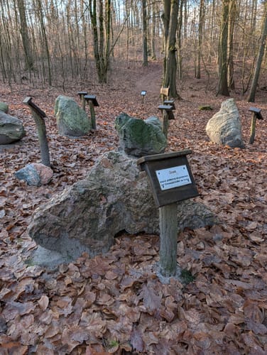 Zum Pimpinellenberg