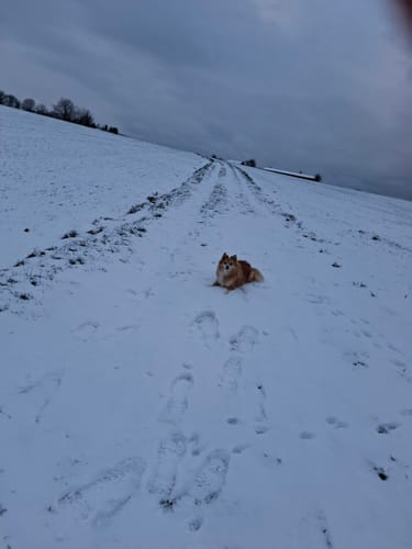 Abtsküche Rundwanderweg A6