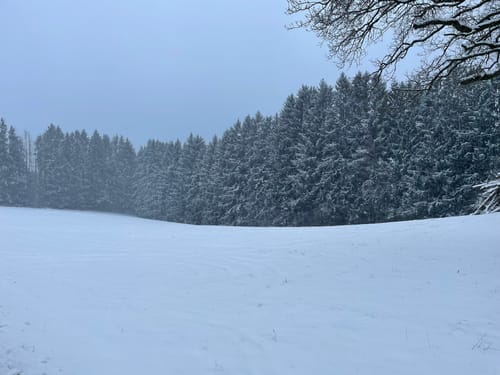 Wald-Michelbach: Höhenweg Tromm