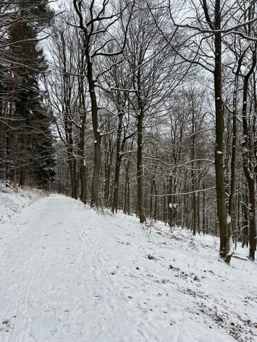 Hufeisenrunde