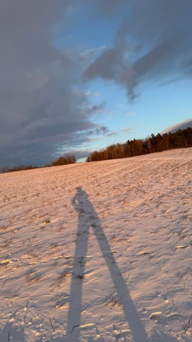 Am Estelberg bei Birndorf