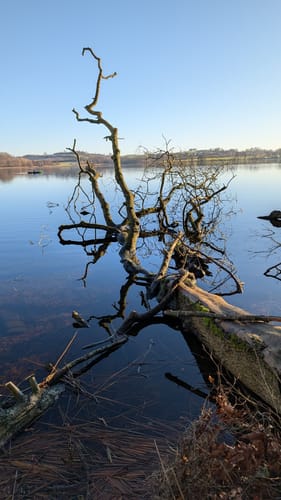 Großer Segeberger See