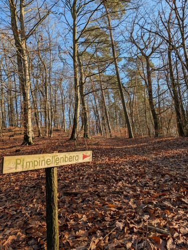 Zum Pimpinellenberg