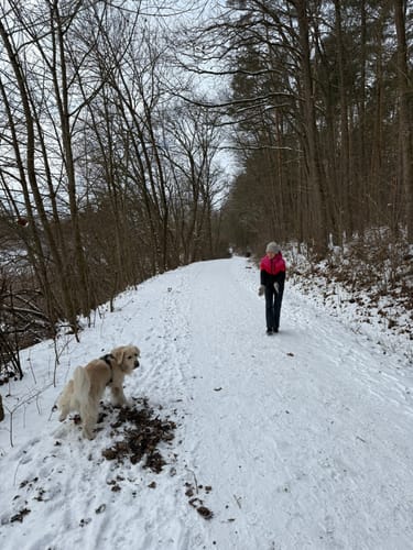 Rundwanderweg Grün 1: Rund um den Dohnwald