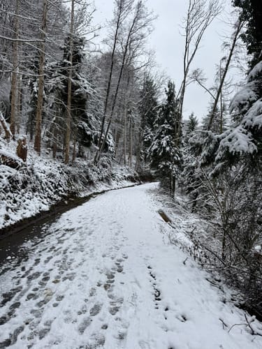 Rundwanderung Untenrüden - Kempen
