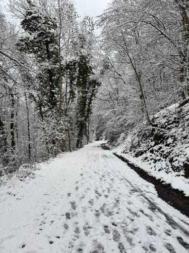 Rundwanderung Untenrüden - Kempen