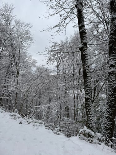 Rundwanderung Untenrüden - Kempen