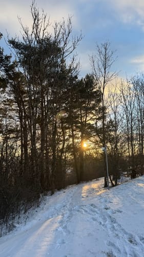 Am Estelberg bei Birndorf