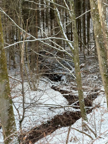 Rundwanderweg RB4 (Ransbach-Baumbach)