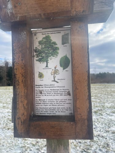 Firstwaldrunde (Premiumwanderweg)