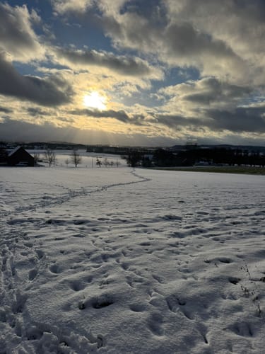 Rundweg A2: Rödinghausen - Grüner See