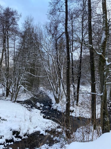 Struffeltroute