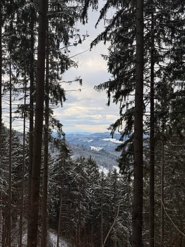 Fischerdobel ab Elzach