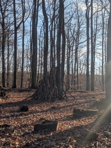 Zwiesel - Kirschfels - Forsthaus Annweiler