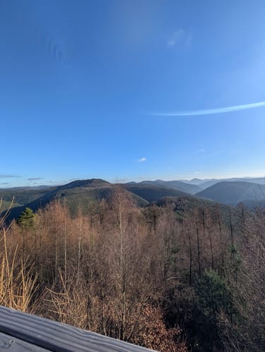 Zwiesel - Kirschfels - Forsthaus Annweiler
