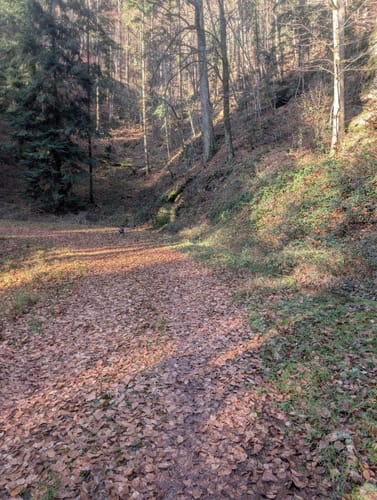 Zwiesel - Kirschfels - Forsthaus Annweiler