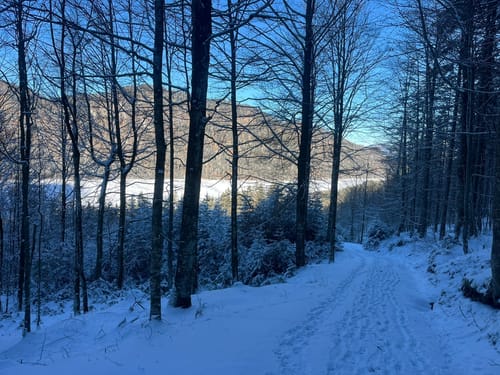 Faller Rundweg