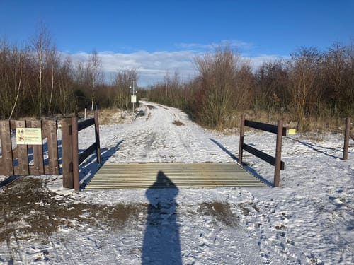 Hambach - Goldene Aue
