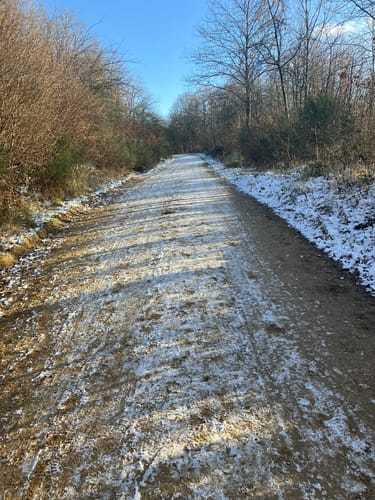 Hambach - Goldene Aue
