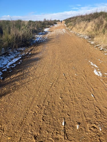 Hambach - Goldene Aue