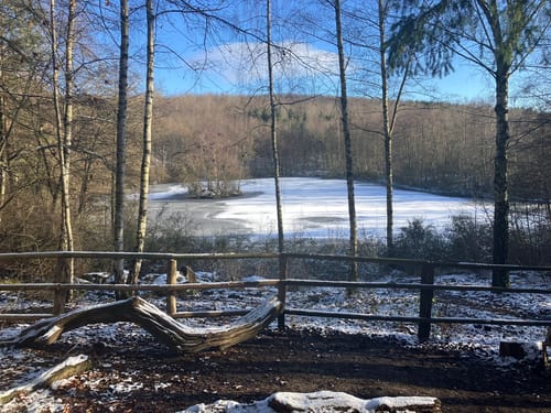 Hambach - Goldene Aue