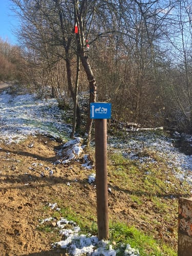 Hambach - Goldene Aue
