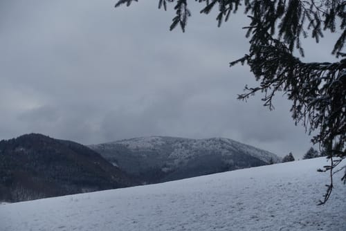 Fischerdobel ab Elzach