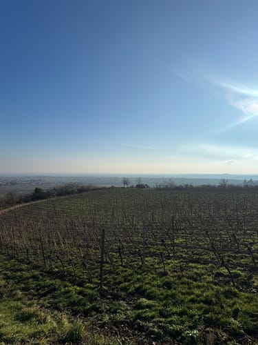 Gleisweiler - Trifelsblick - St.-Anna-Kapelle