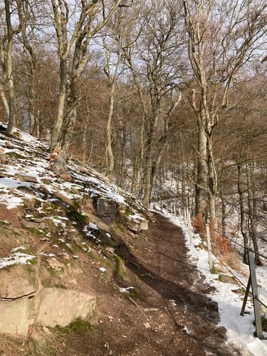 Weser-Skywalk: Holzweg und Klippensteig