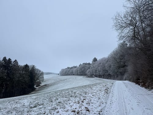 Stausee-Prümtalroute (Premiumwanderweg)