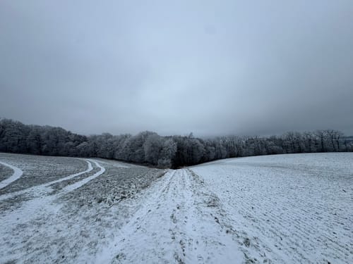 Stausee-Prümtalroute (Premiumwanderweg)