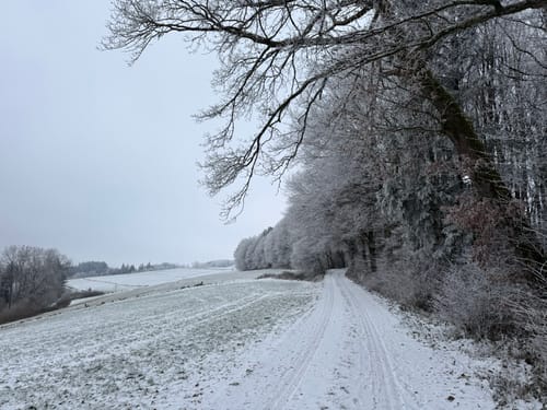 Stausee-Prümtalroute (Premiumwanderweg)