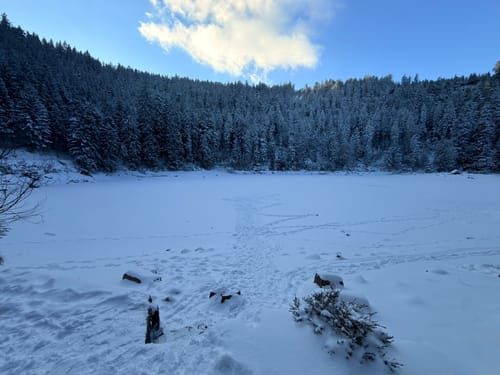 Mülbensattel - Glaswaldsee