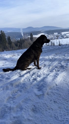 Teisnacher Holzhausrundweg