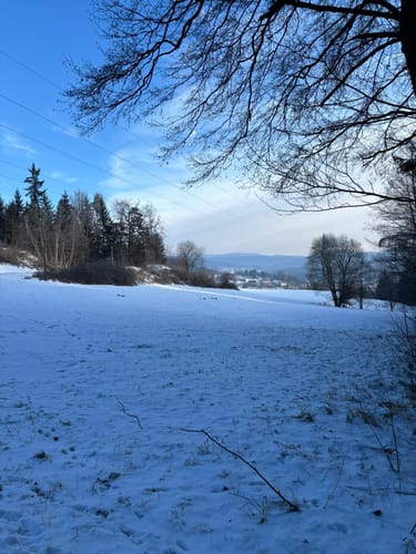 Teisnacher Holzhausrundweg