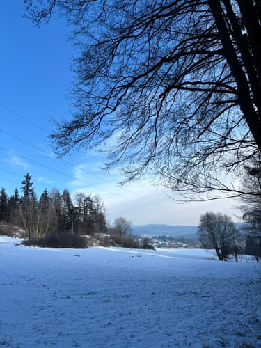 Teisnacher Holzhausrundweg