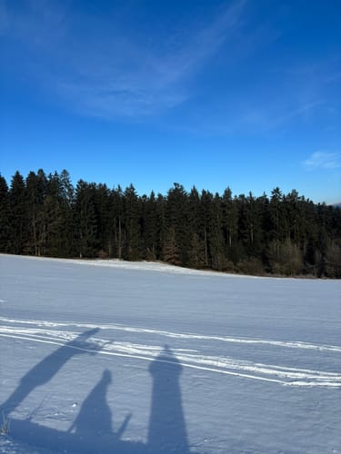 Teisnacher Holzhausrundweg