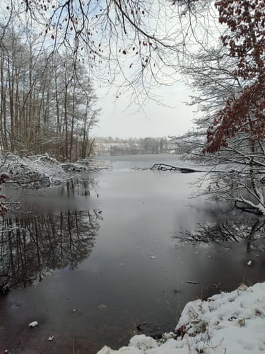 Rund um den Drüsensee